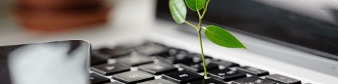 Laptop mit grünem Zweig
